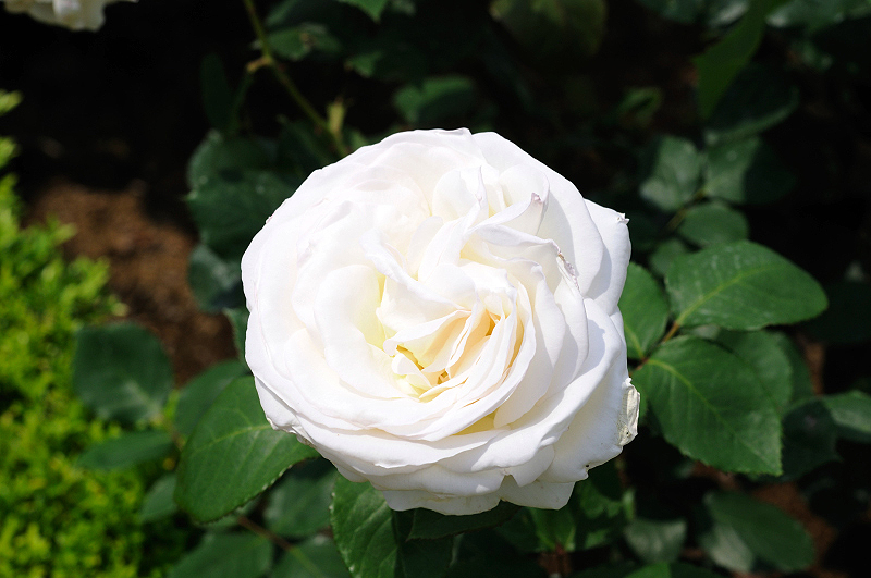 image0351