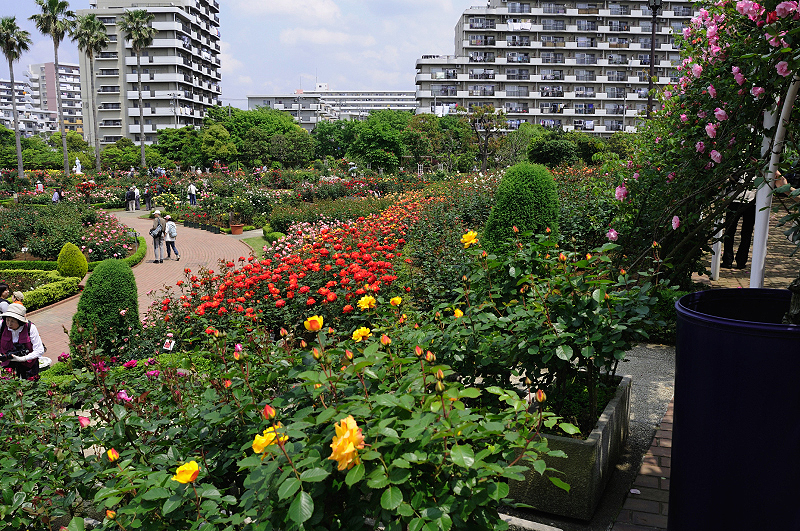 image0356