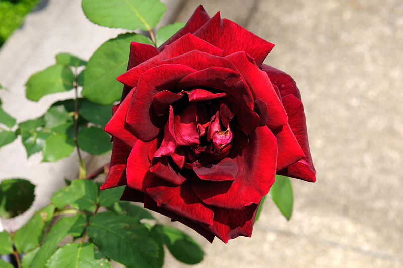 image0358