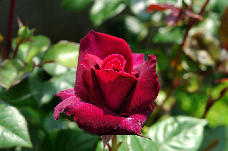 image0359