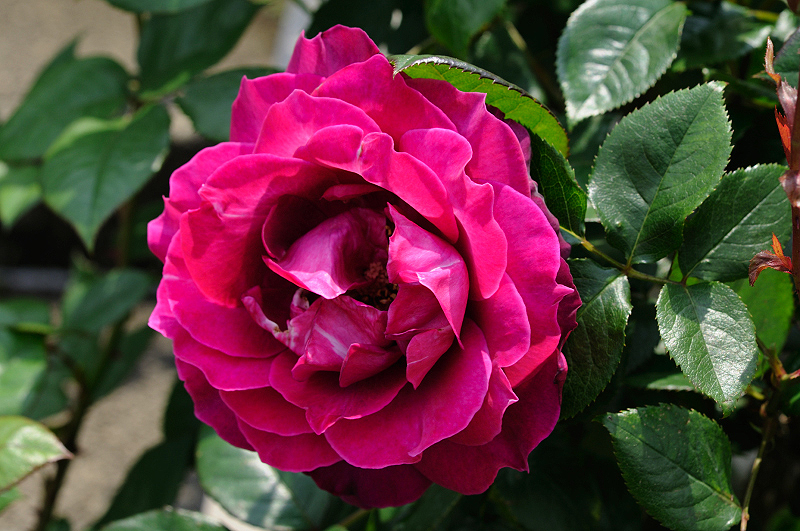 image0360