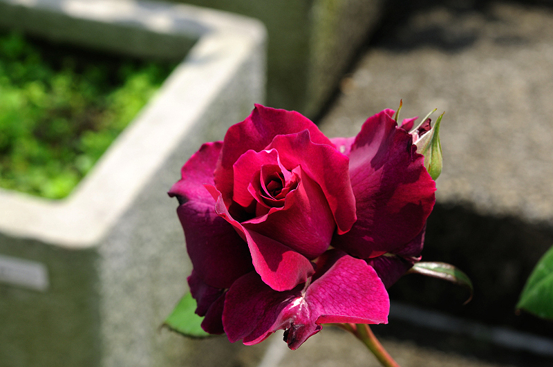 image0361