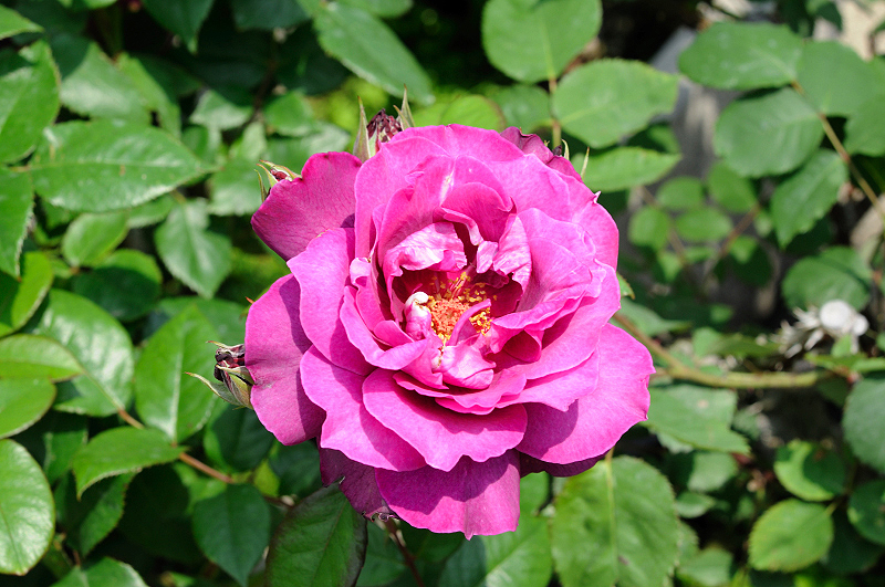 image0362
