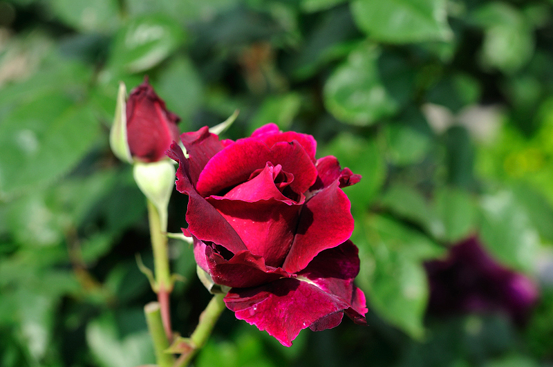 image0363