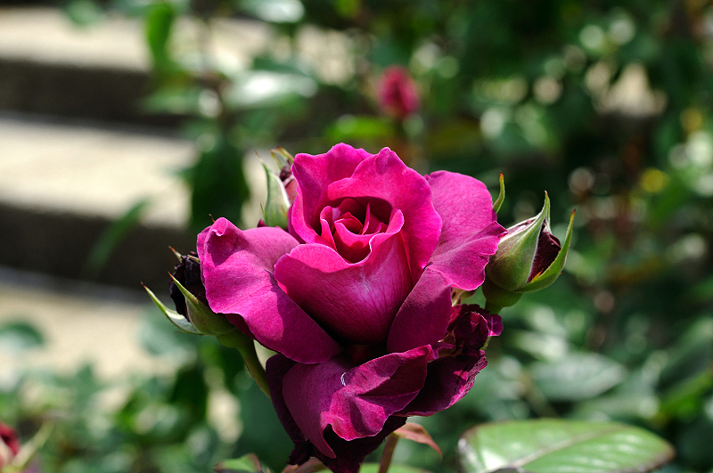 image0366