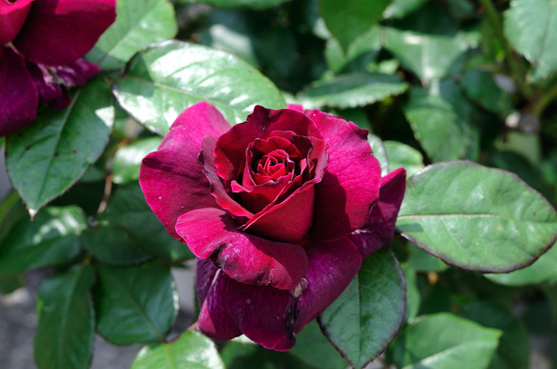 image0369