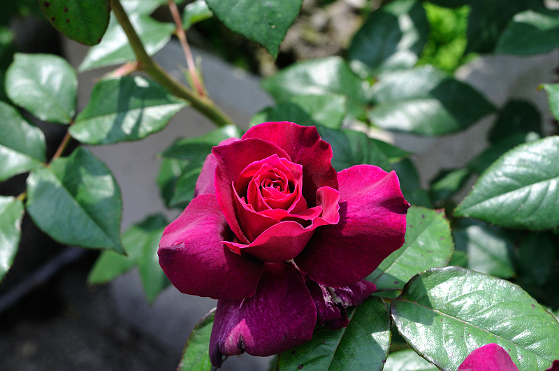 image0370