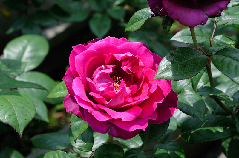 image0371
