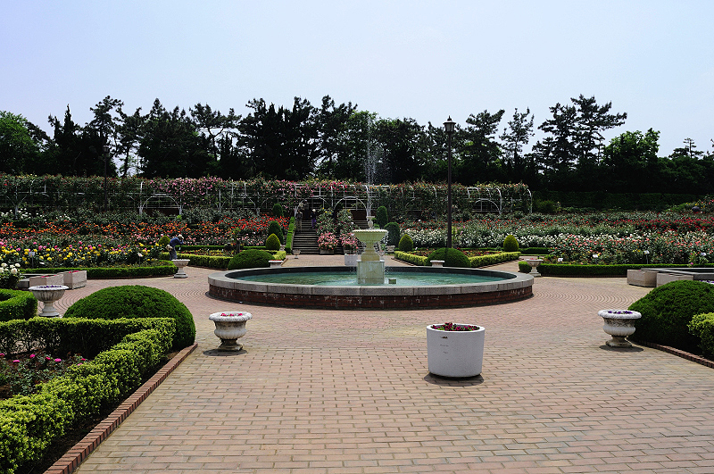 image0381