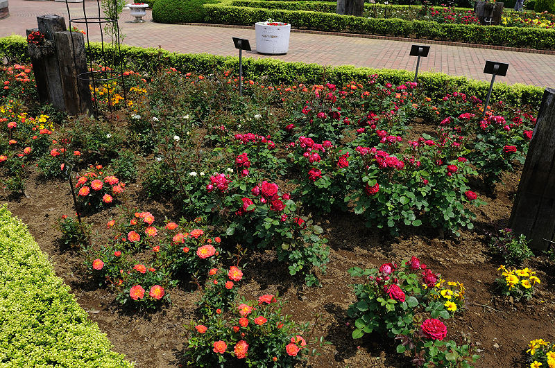 image0383