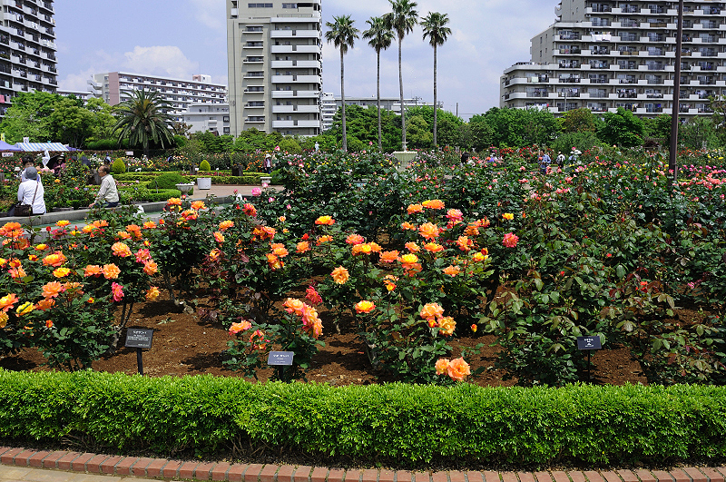 image0386