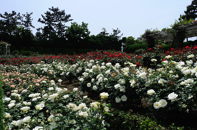 image0387