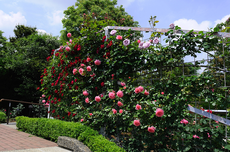 image0397