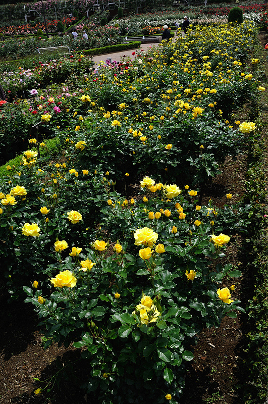 image0398