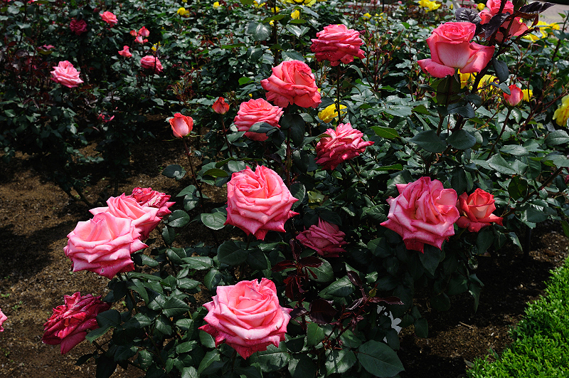 image0402