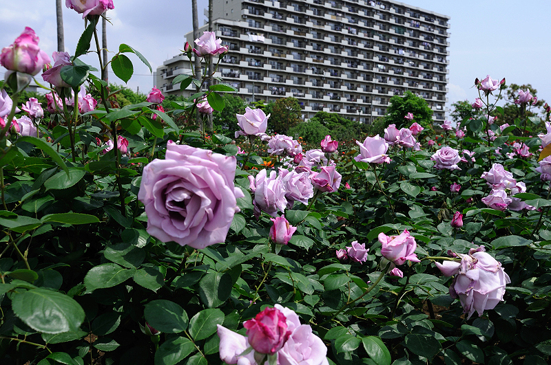 image0403