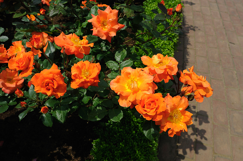 image0405