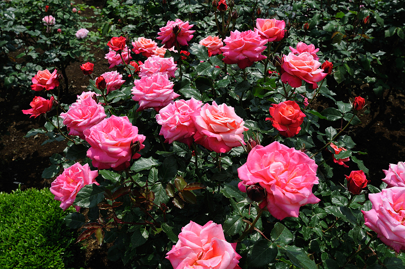 image0408