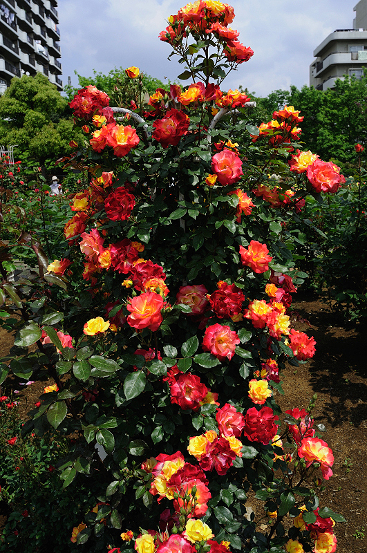 image0409