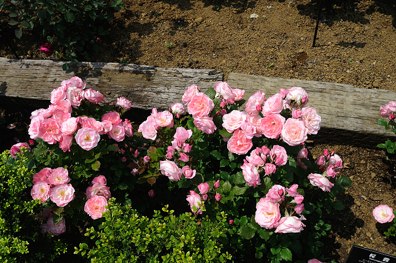image0413