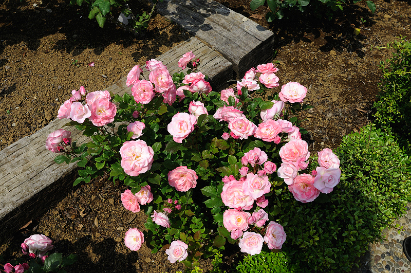 image0414