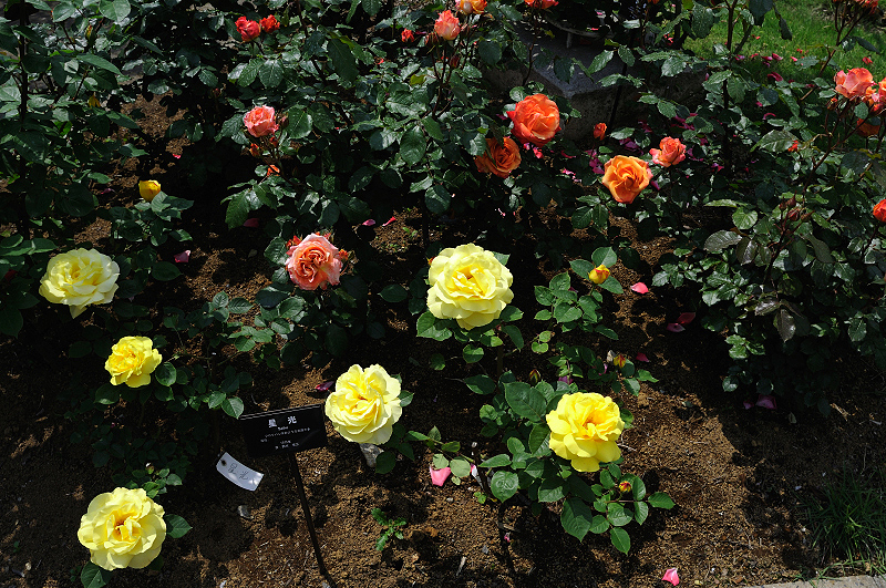 image0417
