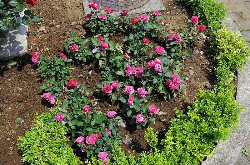 image0419