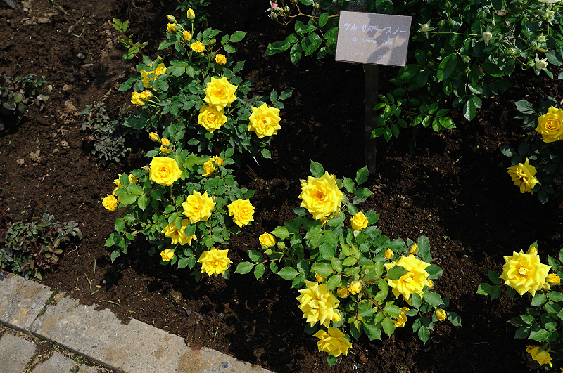 image0422
