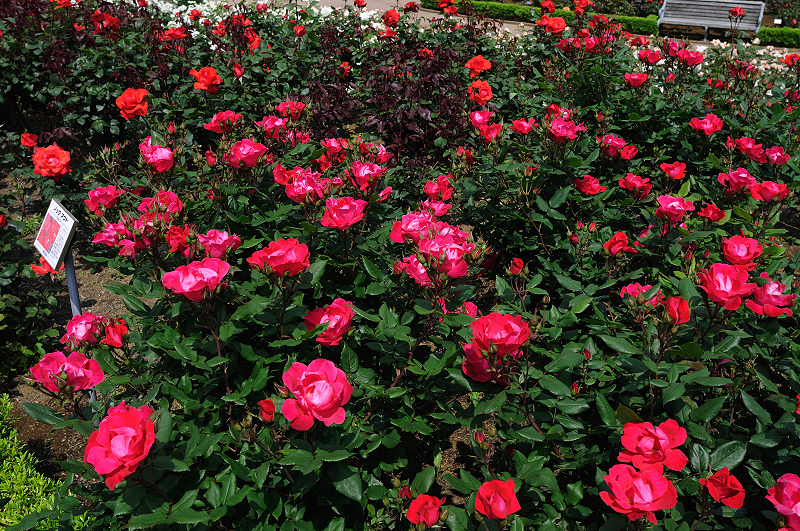image0434