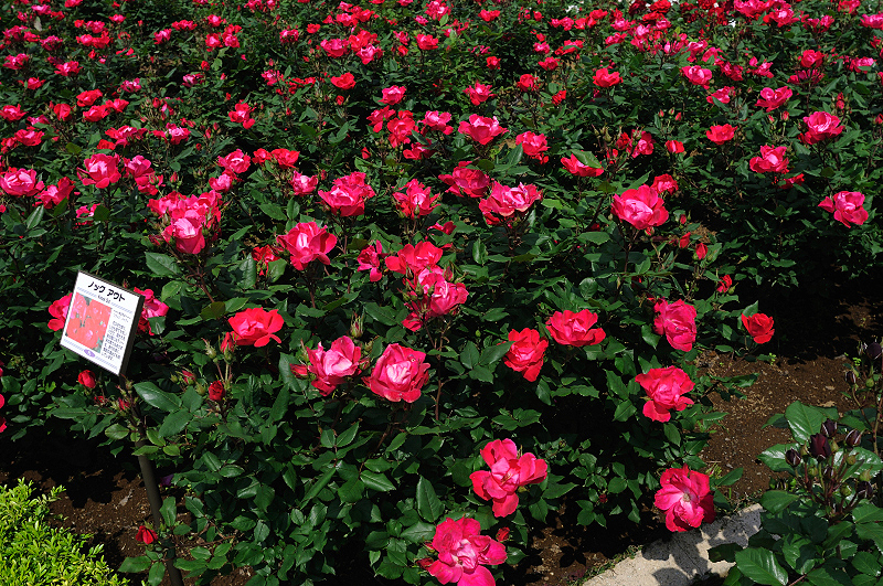image0435