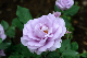 image0162