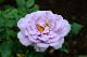 image0163