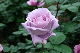 image0164