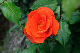 image0166