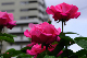image0167