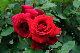 image0168