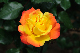 image0169