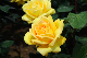 image0170