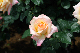 image0171