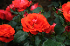 image0172