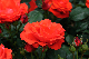 image0173