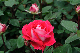 image0175