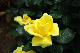 image0179