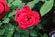 image0180