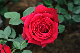 image0181
