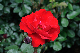 image0183