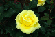 image0185