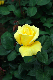 image0186
