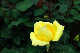 image0187