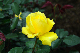 image0190